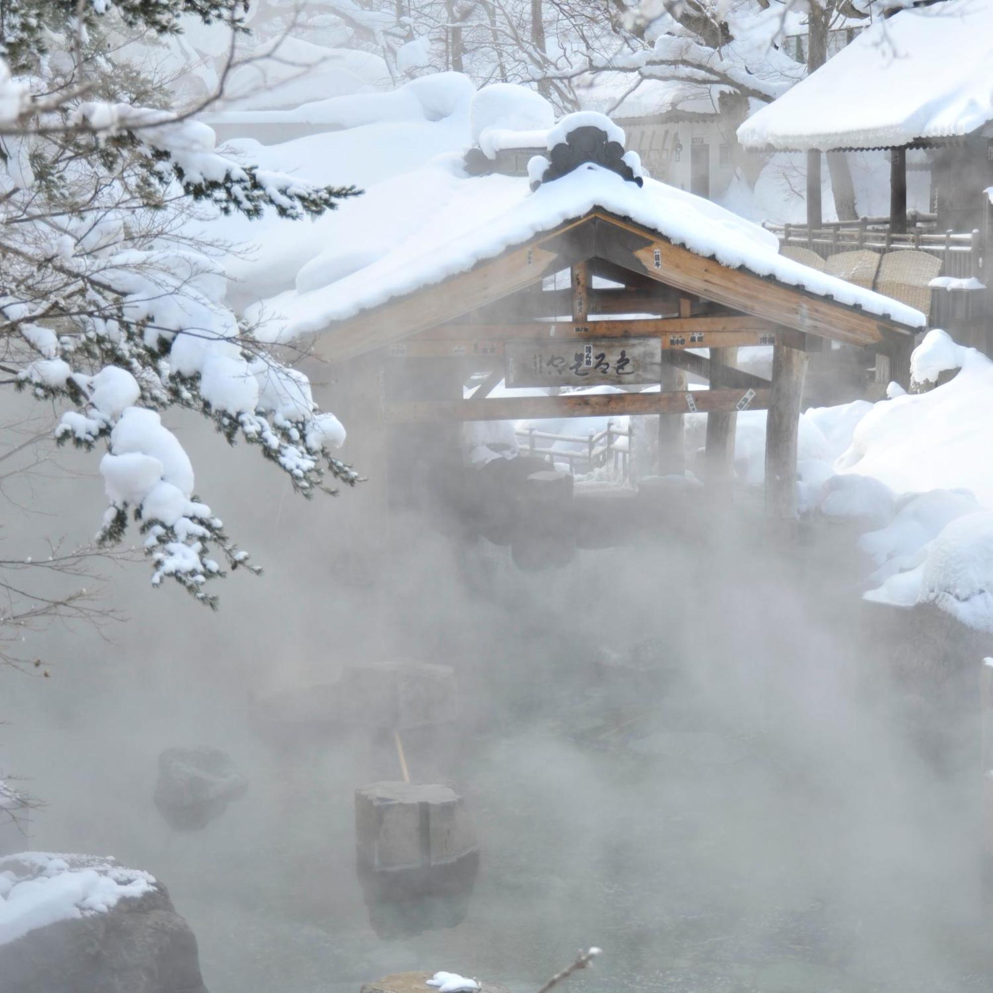 Готель Takaragawa Onsen Ousenkaku Мінакамі Екстер'єр фото