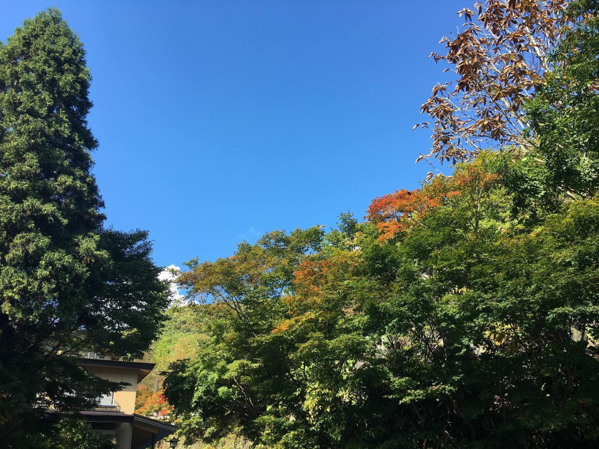 Готель Takaragawa Onsen Ousenkaku Мінакамі Екстер'єр фото