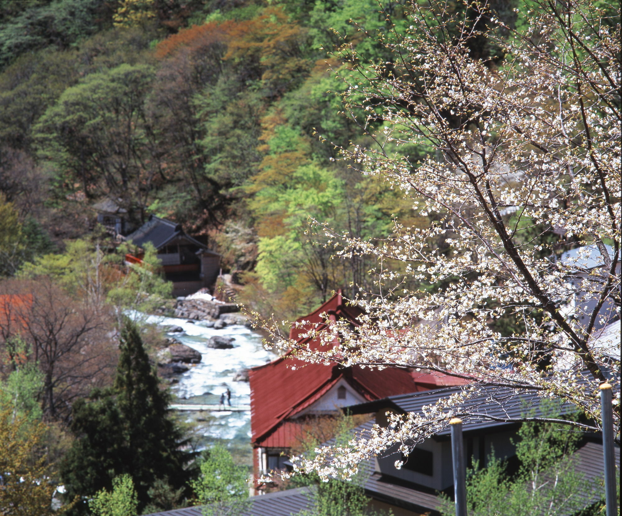 Готель Takaragawa Onsen Ousenkaku Мінакамі Екстер'єр фото