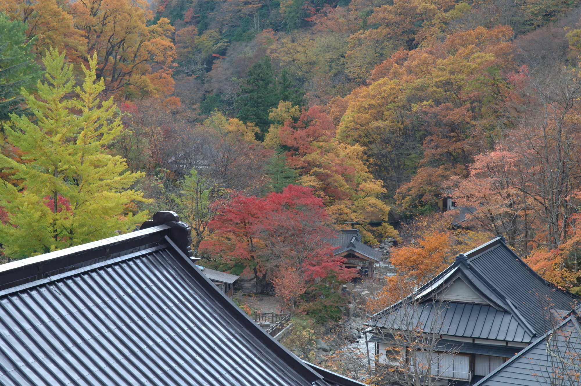 Готель Takaragawa Onsen Ousenkaku Мінакамі Екстер'єр фото